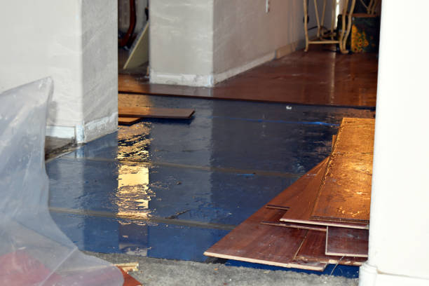 Professional Basement Flood Cleanup technician working in New Franklin, OH